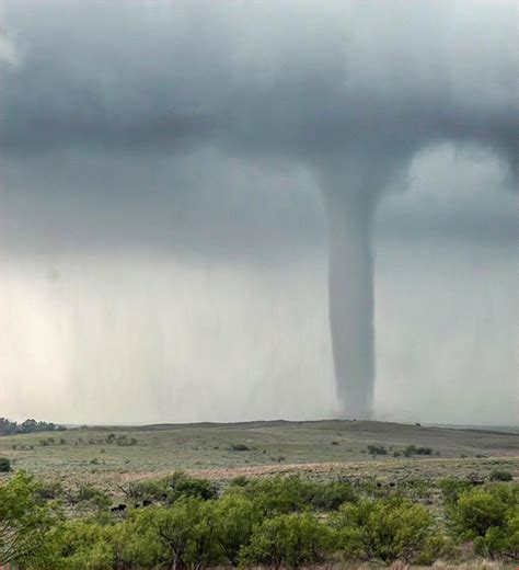 captured cows and a stovepipe tornado over McLean | Wind turbine ...