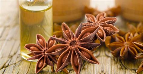 Know About Anise Seed Benefits For Skin Mirah Belle