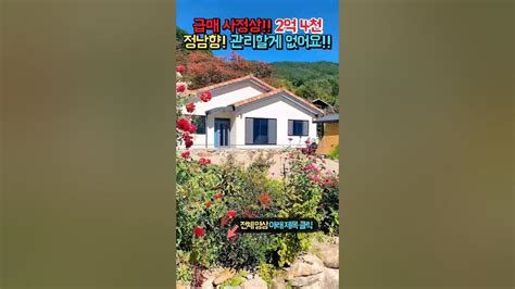 급매 사정상 처분 2억 4천 햇살 가득한 정남향 관리할게 하나도 없는 집 배산임수 청정지역 전원주택 매매 급매물