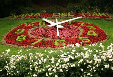 Reloj De Flores Vi A Del Mar Tipica Pero Vi A Unos Turist Flickr