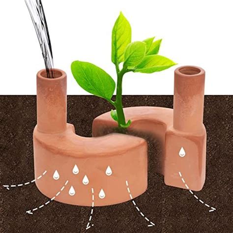 A Green Plant Sprouts From The Ground With Water Coming Out Of It S Holes