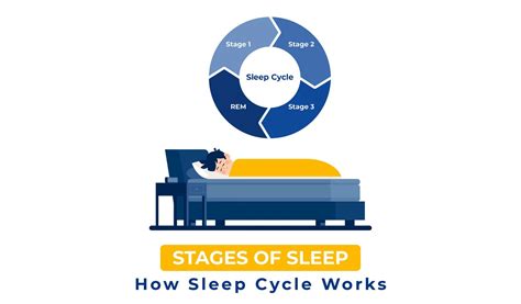 Stages Of Sleep: How Sleep Cycles Works | Sleep Standards