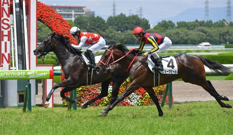 【pog】ステラヴェローチェ、軽快押し切りv 鞍上川田が特性生かす騎乗で導いた 競馬ニュース