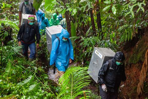 Mengantar Kukang Jawa Ke Gunung Koneng Kawasan Taman Nasional Gunung