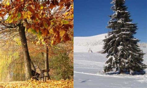 Vremea Pe Regiuni P N N Decembrie Condi Ii Meteo De Ziua