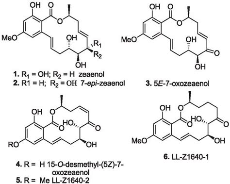 Structures Of Filamentous Fungi Derived Resorcylic Acid Lactones 1 6