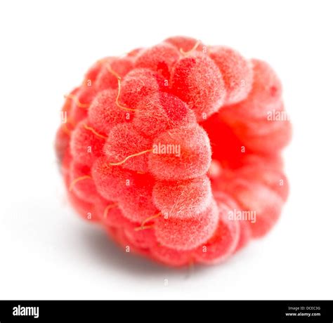 One Ripe Red Raspberry Isolated On White Background Stock Photo Alamy