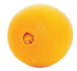 Navel Orange - The FruitGuys