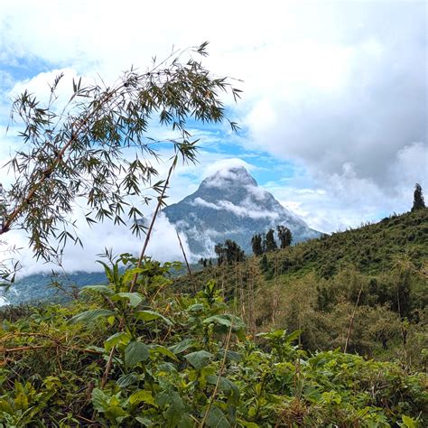 Rwanda Rising - Gravel Bikes and Gorillas