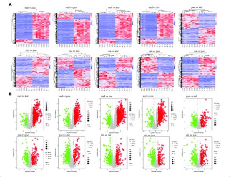 The A Heatmaps And B Volcanic Plots Of Differential Metabolites