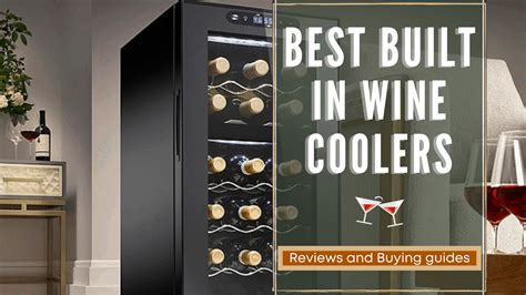 Best Wine Cooler Under 300 At Jennifer Shea Blog