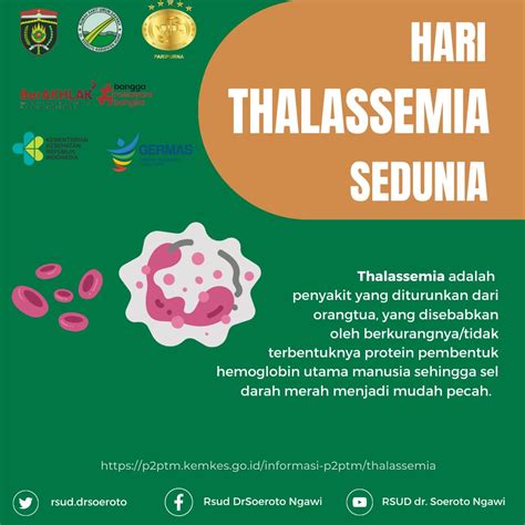 Memperigati Hari Thalassemia Sedunia Tahun 2023 Rsud Dr Soeroto