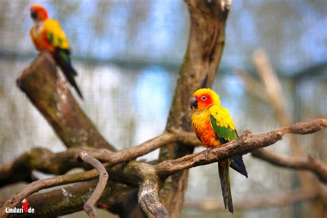 Besuch Im Tier Und Freizeitpark Th Le W Hrend Corona Tierisch Gut