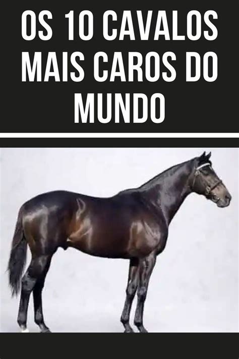 Os Cavalos Mais Caros Da Hist Ria