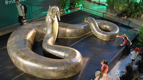 Titanoboa Snake Length