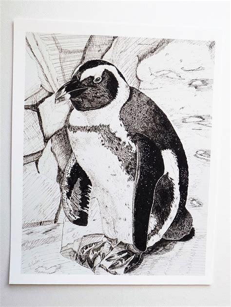 Penguin Art Print Pen And Ink Drawings Fine Art Giclee Etsy