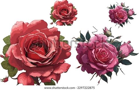 Rose Flower Hand Drawing Sketchline Art Stock Vector Royalty Free