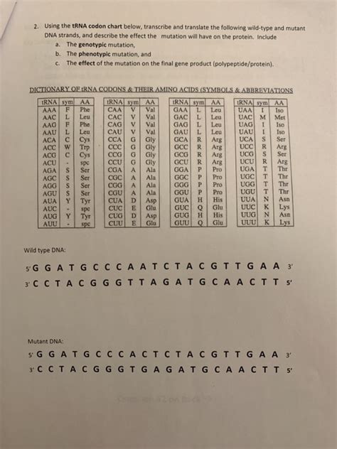 Solved 2. Using the tRNA codon chart below, transcribe and | Chegg.com