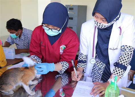 Ratusan Hewan Peliharaan Menjadi Sasaran Dalam Vaksinasi Rabies Dalam