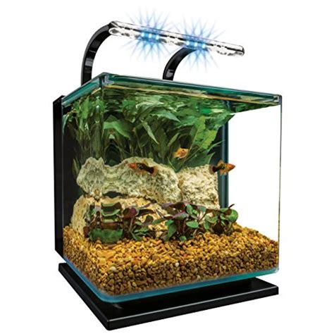 Best Self Cleaning Fish Tank Aquariums Buyer S Guide