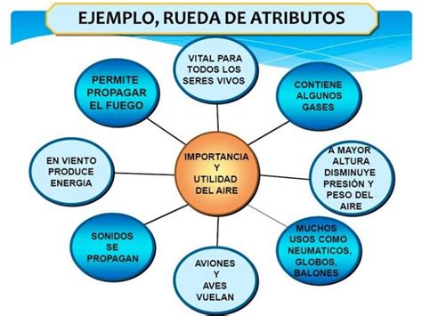 Tipos de Organizadores Gráficos características ejemplos y