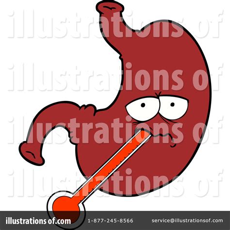 Stomach Clipart 1553850 Illustration By Lineartestpilot