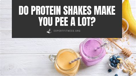 Do Protein Shakes Make You Pee A Lot Expert Fitness