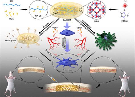 Zif Modified Multifunctional Bone Adhesive Hydrogels Promoting