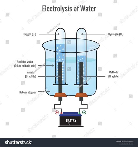 Diagram Of Electrolysis Of Water How To Draw A Neat, 52% OFF