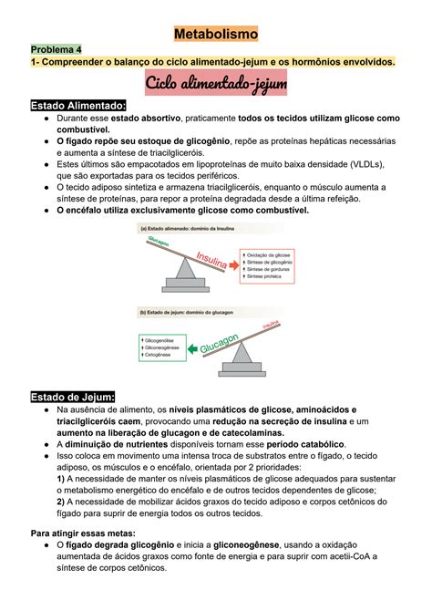 Solution Ciclo Alimentado Jejum Glicogenolise Lip Lise E Gliconeog