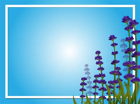 Border template with lavender flowers 361065 Vector Art at Vecteezy