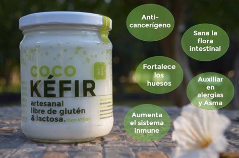 Kefir Vegano Probi Tico De Leche De Coco En Mercado Libre