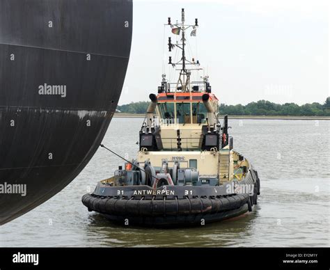 31 Tugboat IMO 9684031 ENI 06105142 Zandvliet Sluis Port Of