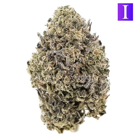 King S Kush AA Indica Ganja West Online Dispensary Canada