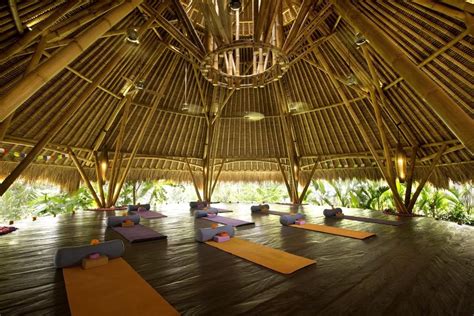 The 5 Best Yoga Retreats You Should Join In Bali In 2025