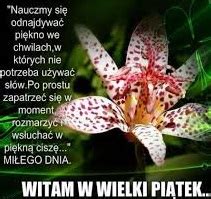 Kwiat na Wielki Piątek Gify i obrazki na GifyAgusi pl