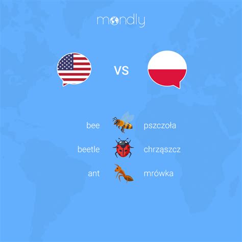 THE LANGUAGE BATTLE English Vs Polish Polish Language Learn Polish