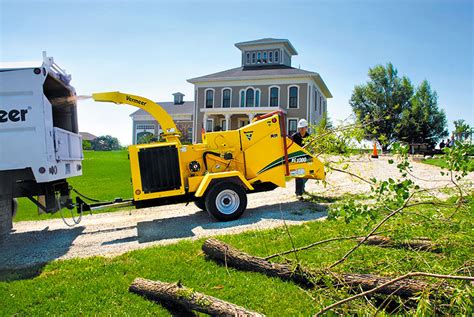 Cheap Tree Services Near Me (Save Up To 43%) - Free Service