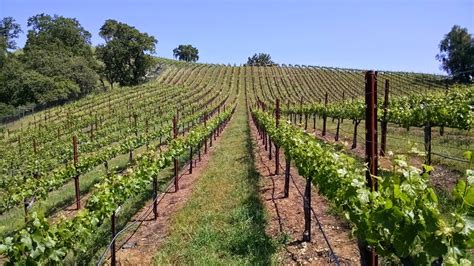 Bob On Sonoma Sonoma County Appellations Rockpile