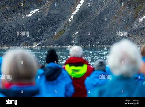 Polar Bear Svalbard Islands Artic Ocean Norway Europe Stock Photo