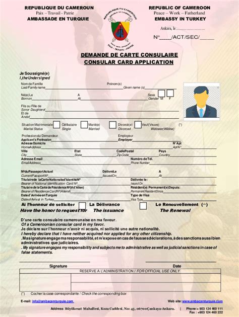 Remplissable En Ligne Demande De Carte Consulaire Consular Card Fax