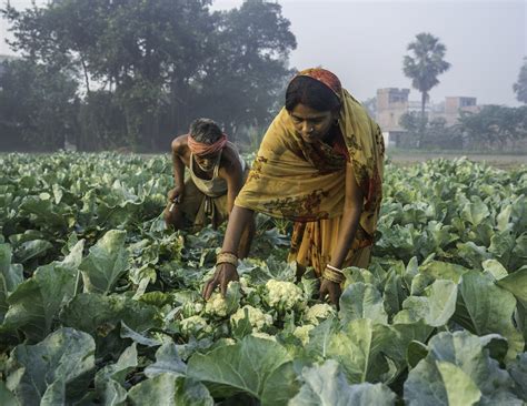 5 Organic Farming Tips to Borrow from Smallholder Farmers