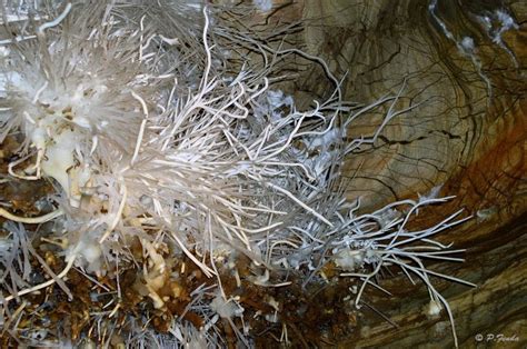 Ochtinská Aragonite Cave | Amusing Planet