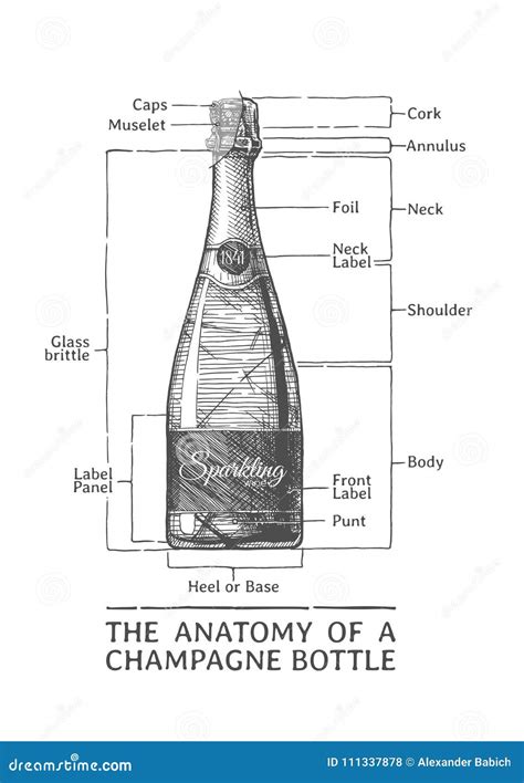 Hand Gezeichnete Illustration Der Sektflasche Vektor Abbildung