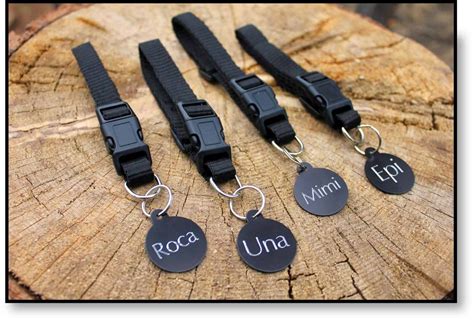 Engraved Stainless Steel Dog Collars: Adding Personalized Magic to Your ...