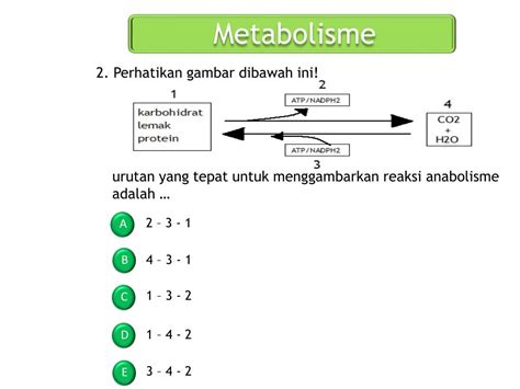 Ppt Metabolisme Powerpoint Presentation Free Download Id5780690