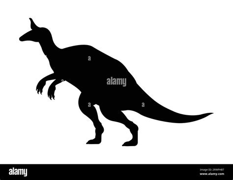 Vector De La Silueta Del Dinosaurio De Tsintaosaurus Aislado En Fondo Blanco Imagen Vector De