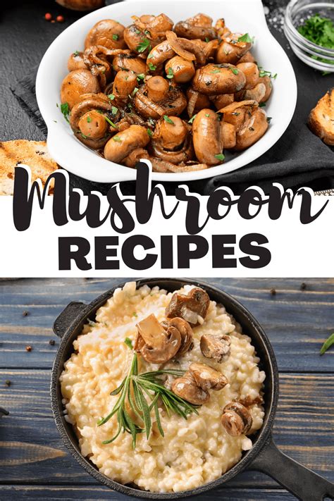 24 Best Mushroom Recipes the Family Will Love - Insanely Good