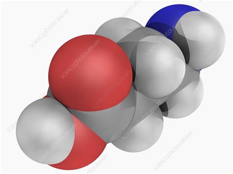 Gamma Aminobutyric Acid Gaba Molecule Stock Image F