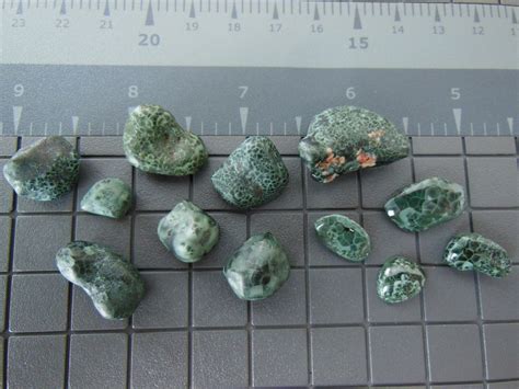 Isle Royale Greenstone Chlorastrolite Lot 275 Gramskeweenaw County